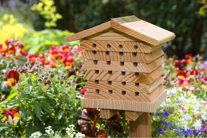 Actual product image Wildlife World Beehive to open (Bee)
