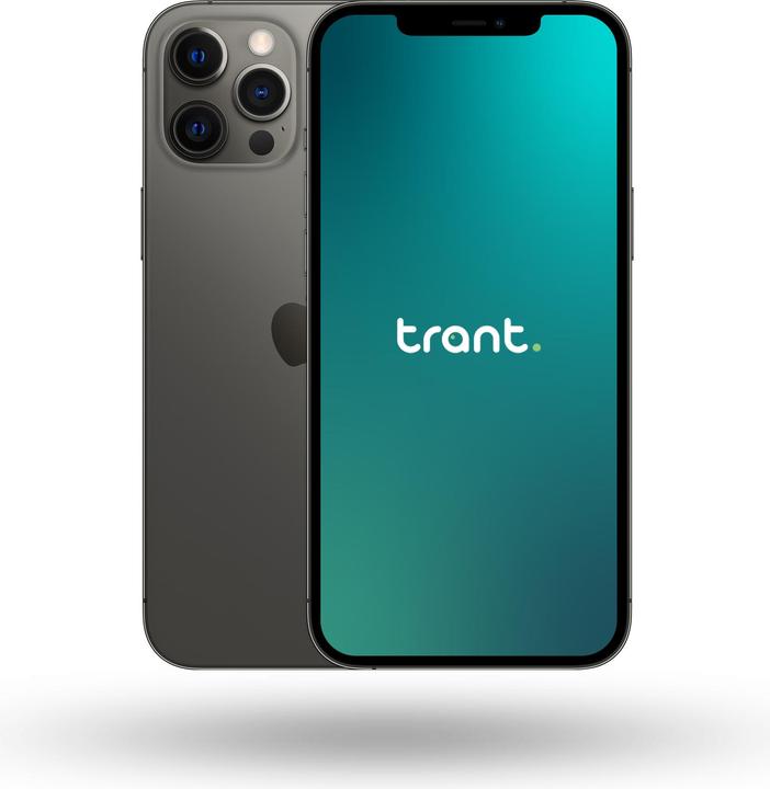 Actual product image Trant.ch iPhone 12 Pro Max (256 GB, Graphites, 6.70", SIM + eSIM, A / Like new)
