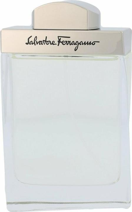 Image du produit Salvatore Ferragamo F (Eau de toilette, 100 ml)