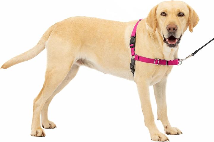Produktbild PetSafe Easy Walk Geschirr (L, Hund, Spazieren)