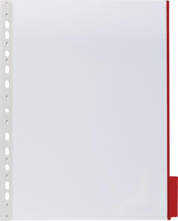 Image du produit Durable Tableau de présentation FUNCTION Utilisation pour format papier : DIN A4 Matériau : PVC rigide (A4)