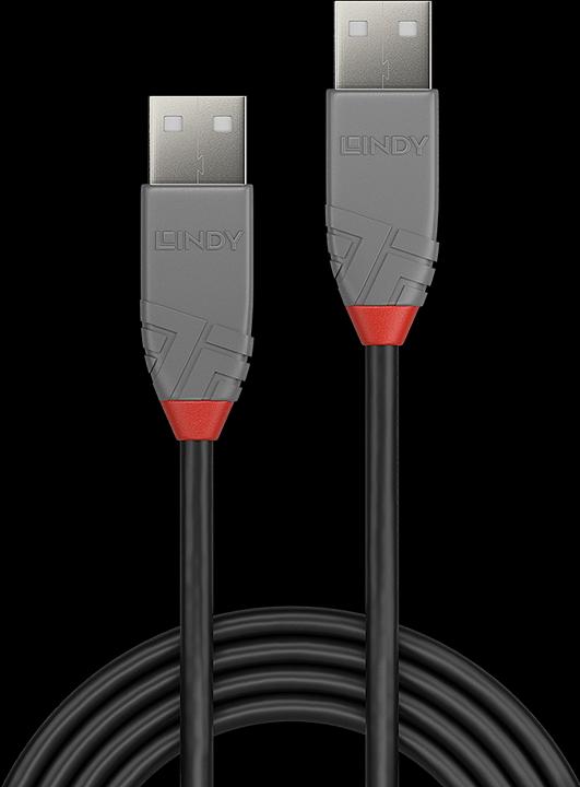 Actual product image Lindy USB/A-USB/A M-M (5 m, USB 2.0)