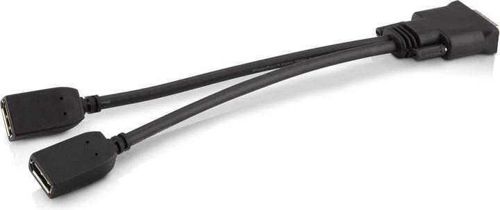 Immagine prodotto HP DMS59 da (0.30 m, DisplayPort)