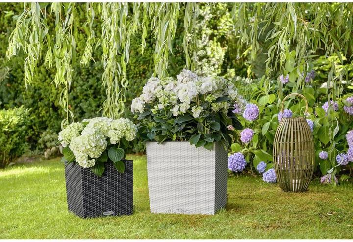 Produktbild Lechuza Cube Cottage (29.50 cm)