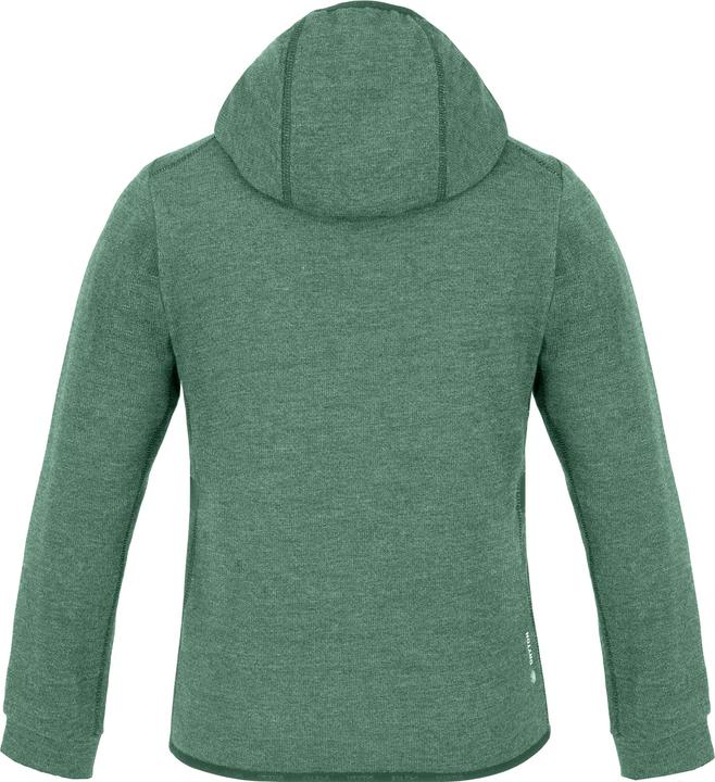 Image du produit Salewa Sweat à capuche Simple Life Dry'Ton pour enfants (116)