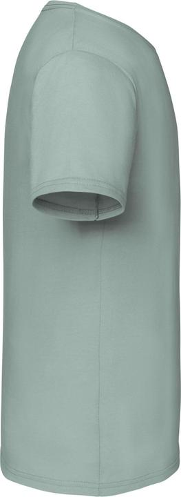 Actual product image Fruit of the Loom Childrens/Kids Iconic 150 T-Shirt (164, 170)