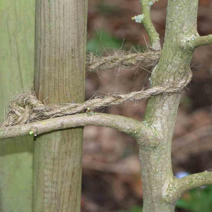 Produktbild Siena Garden Seil (10000 cm, 0.70 cm)