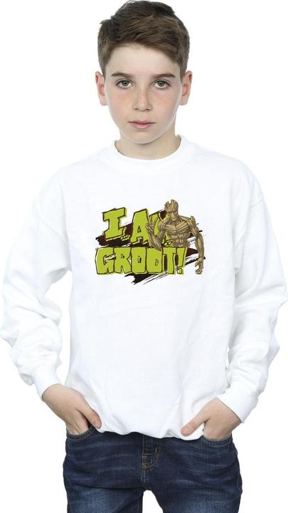 Immagine prodotto Guardians of the Galaxy I Am Groot Felpa Ragazzi (152, 158)