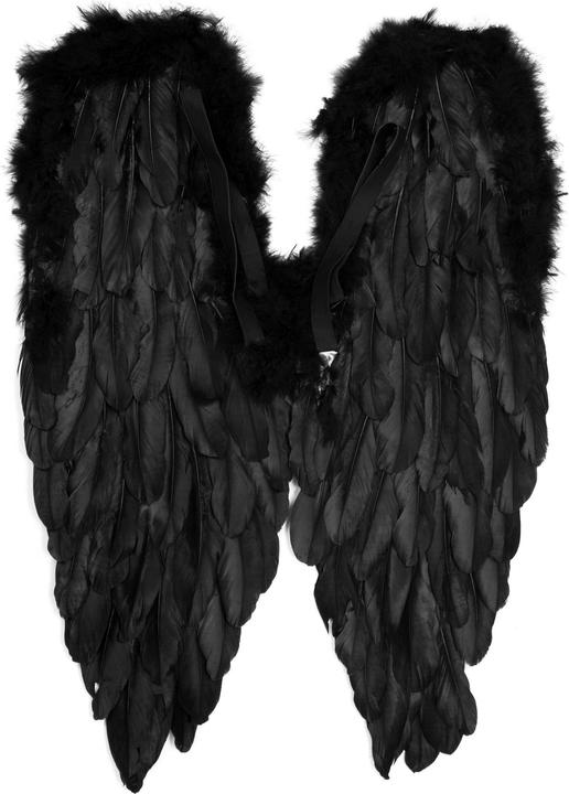 Actual product image Metamorph Grosse schwarze Kostüm Feder Flügel - für Fasching