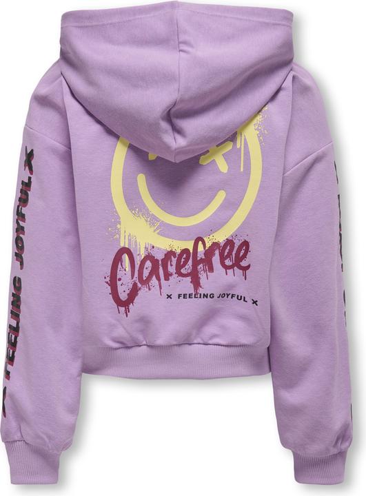 Immagine prodotto Only Kogsmile Life L/S Hood Ub Swt Noos (122)