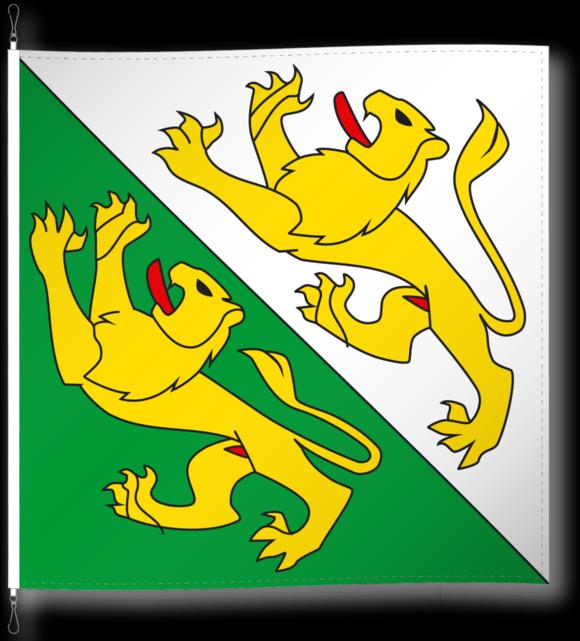 Actual product image Alpenfahnen Thurgau