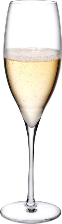 Immagine prodotto Nude Glass Terroir (25.50 cl, 2 Occhiali, Bicchieri da champagne)