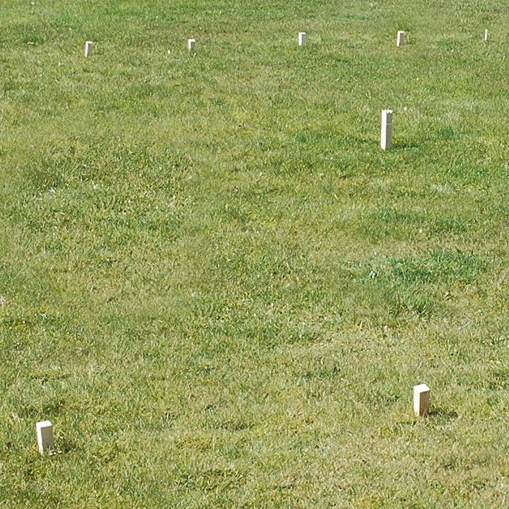 Image du produit Goki Jeu d'échecs KUBB Viking Medium