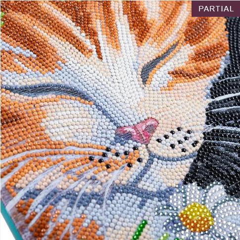 Produktbild Craft Buddy Schlafende Katzen, Bild 30x30cm Crystal Art