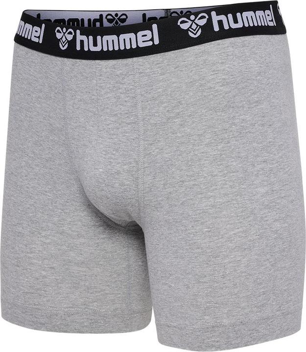 Image du produit hummel Hmlboxers 2-Pack (L)