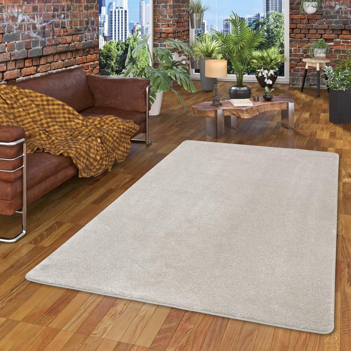 Produktbild Snapstyle Hochflor Luxus Velours Teppich Touch (80 x 200 cm)