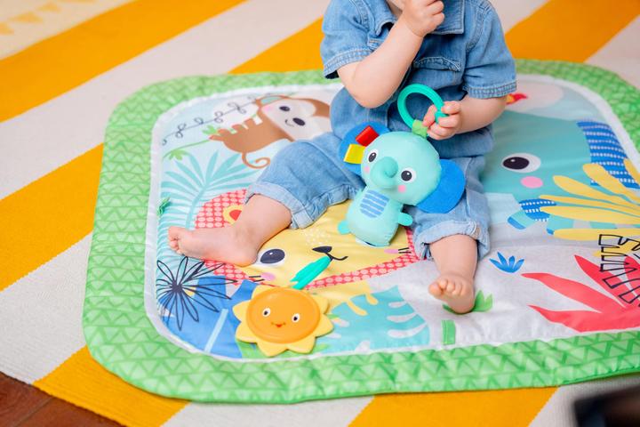Image du produit Bright Starts Wild Wiggles™ FoldAway™ Gym d'activités