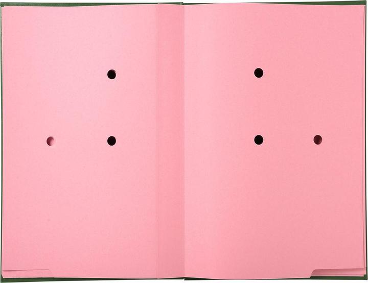 Actual product image Exacompta Signature folders (A4, 1 x)