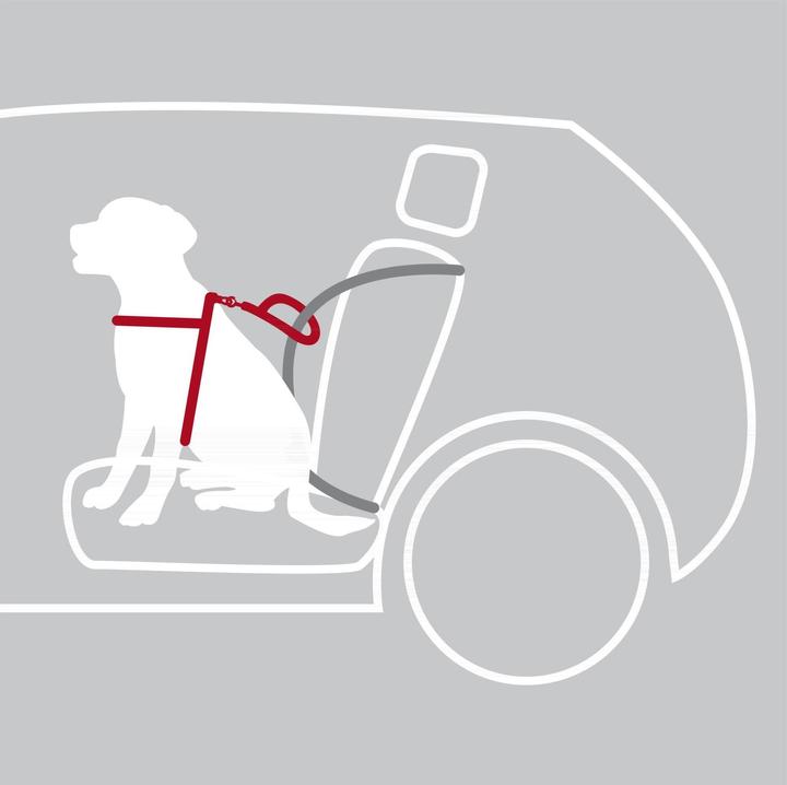 Actual product image Trixie Car Harness Dog Protect (Dog, Washable, Reflectors)