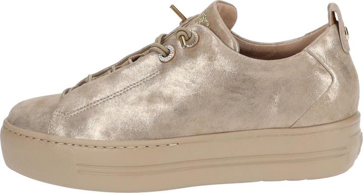 champagne antico
