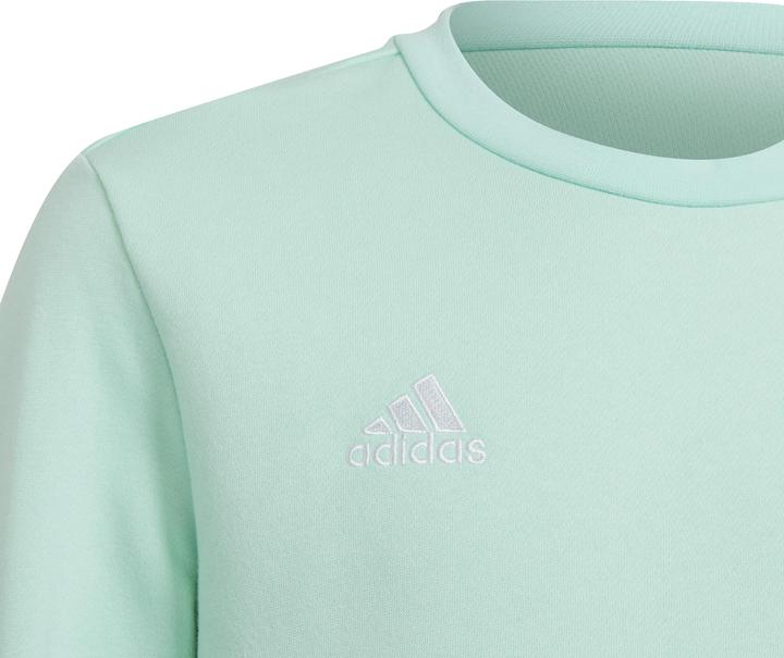 Image du produit adidas Entrada 22 Sweatshirt enfants (152)