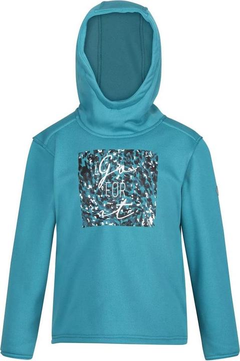 Image du produit Regatta Sweat à capuche Highton (146, 152)