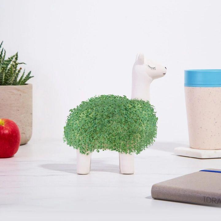 Image du produit Gift Republic Lama végétal de chia