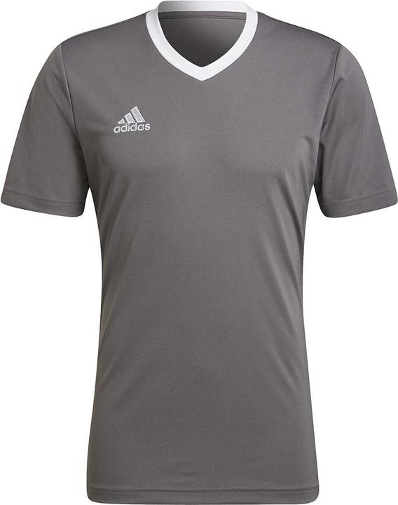 adidas Entrada 22 Fussballtrikot Herren