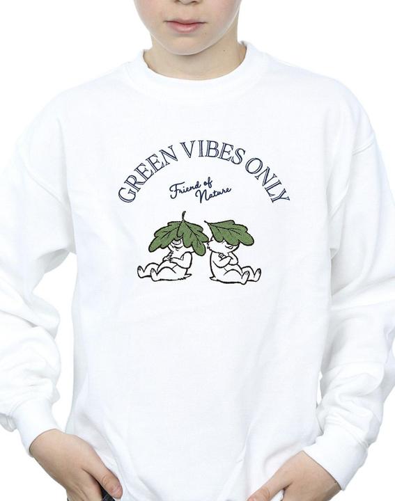 Image du produit Disney - Sweat CHIP 'N DALE GREEN VIBES ONLY - Garçon (152, 158)