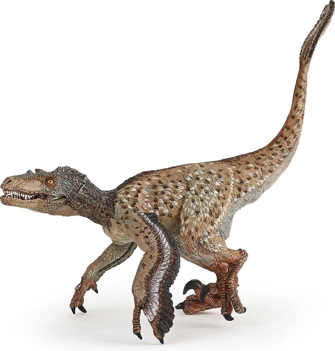 Image du produit Papo Velociraptor avec plumes