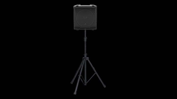 Actual product image Mackie DLM12 Hallway Wall Mountable