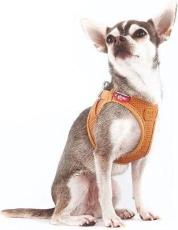 Image du produit Curli Harnais cuir de pomme, 2XS, Noir (XXS, Chien, Général)