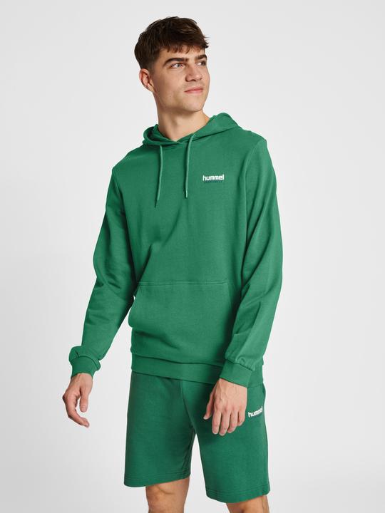 Image du produit hummel hmlLGC GABE HOODIE (M)