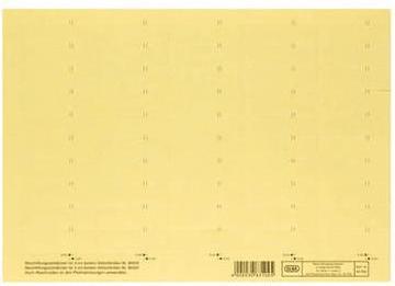 Actual product image Elba Vertic label 58x18mm