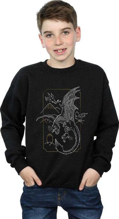 Image du produit - Sweat DRAGON LINE ART - Garçon (140, 146)