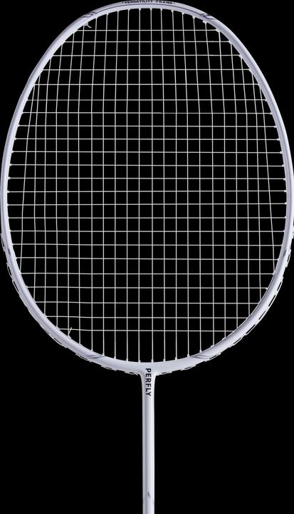 Actual product image Perfly br 500 7259