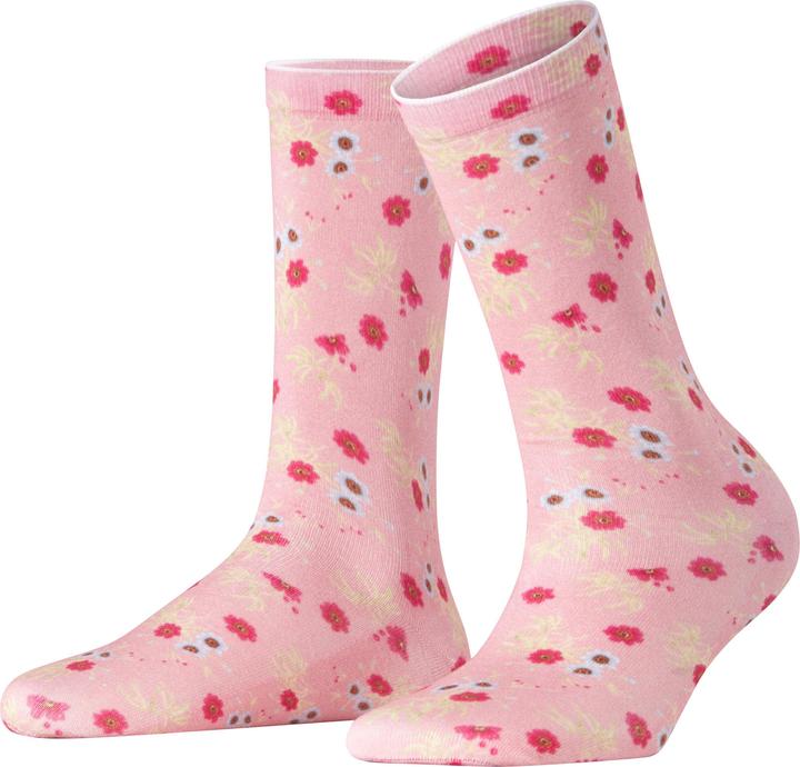 Powder Pink