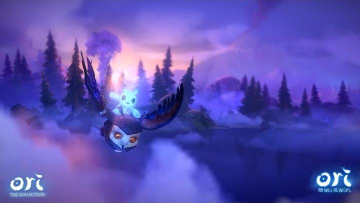Immagine prodotto Skybound Ori - La collezione (Switch, Switch Lite, Switch OLED, DE)