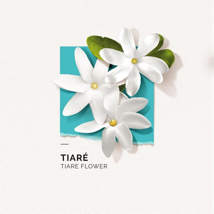 Produktbild Solinotes Paris Solinotes - Tiaré Eau De Parfum (Eau de Parfum, 15 ml)