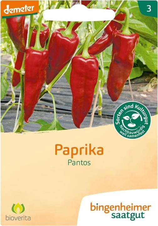 Actual product image Bingenheimer Saatgut Paprika pantos (Seedlings)