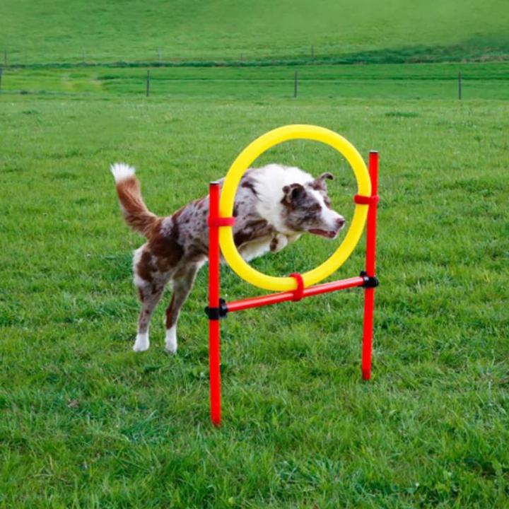Image du produit Kerbl Kit complet (Taille unique, Agility)