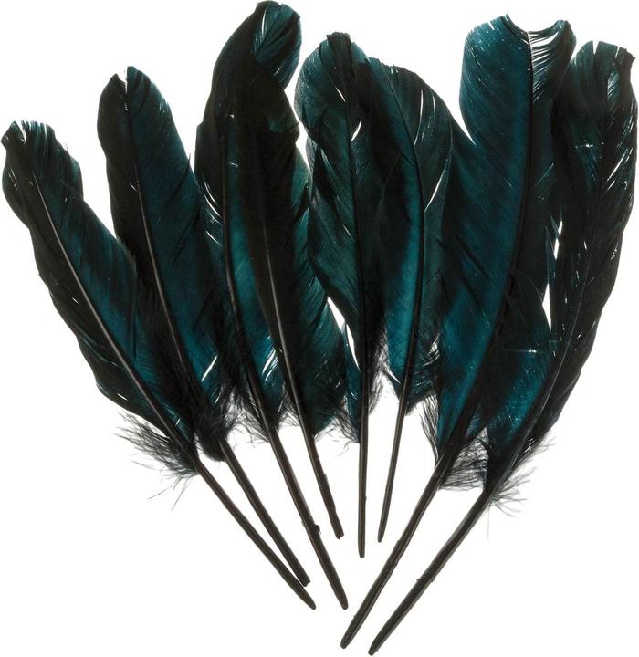 Actual product image Rayher Goose feather, black, 8 pieces
