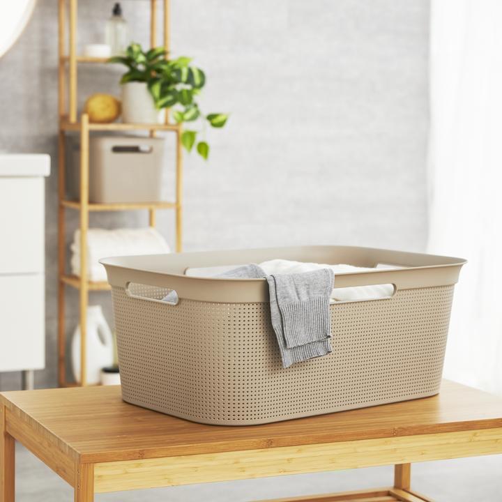 Actual product image Rotho Breezes (41 l)