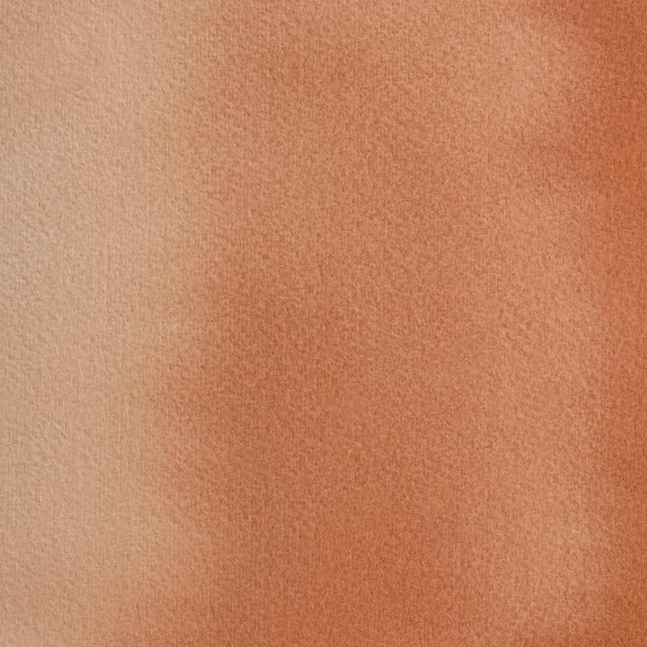 Rot