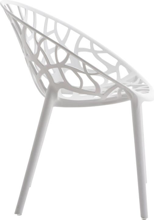 Produktbild CLP 4er Set Stuhl Hope, weiss
