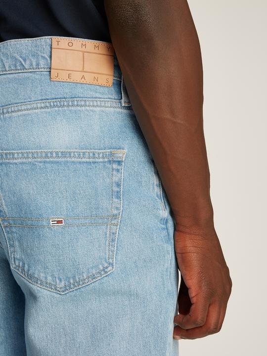 Actual product image Tommy Jeans DAD JEAN RGLR TPRD CH0115 CO (W32/L32)