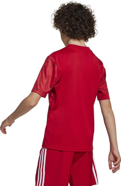 Actual product image adidas Team Icon 25 Jersey Kids (116)