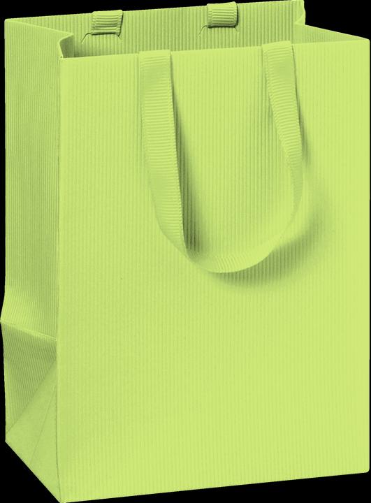 Image du produit Stewo Sac cadeau 10x8x14 One Colour vert clair (Pochette cadeau, 1 x)