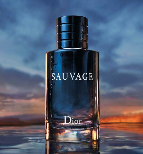 Produktbild Dior Sauvage (Eau de Toilette, 200 ml)