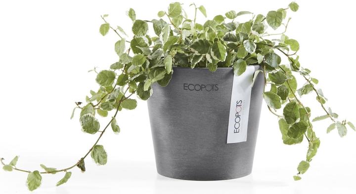 Produktbild Ecopots Amsterdam Mini (10.50 cm)